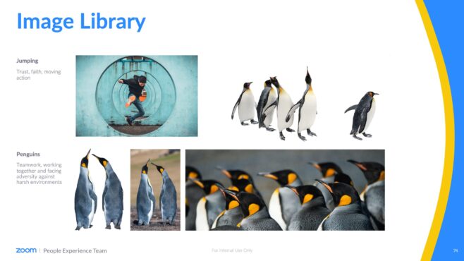 zoom-image-library