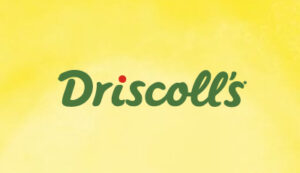 Driscoll's.